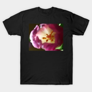 Pink Tulip flower T-Shirt